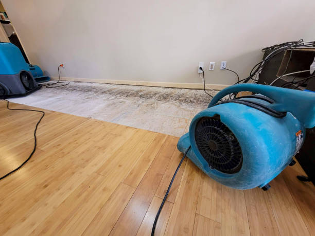 Professional Structural Drying technician working in New London, WI